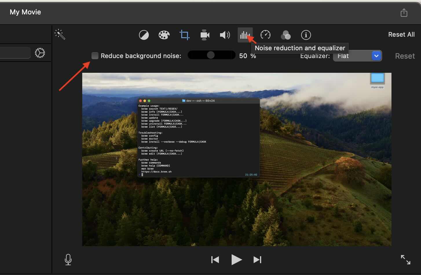 iMovies Noise reduction tool